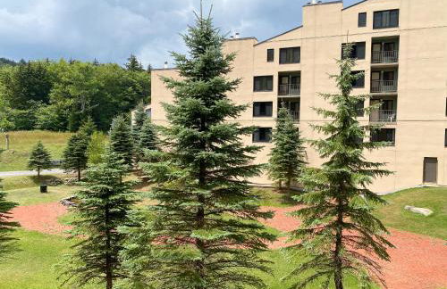 Ski-In Ski-out Luxury Condo with Hot Tub and pools - Foto 21