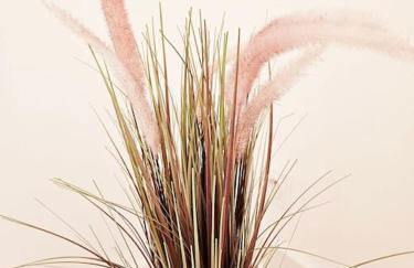 appartement calme, centre-ville - Foto 8