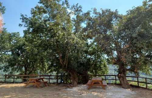 Agriturismo Cisogna - Foto 47