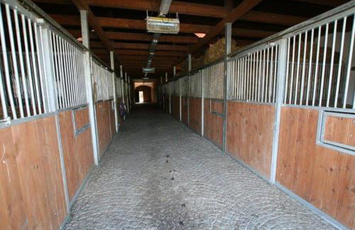 Stajnia Lipowo 45 - Foto 53