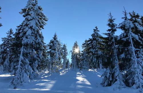 Ferienhaus Kirchturmblick bei Quedlinburg - Foto 10