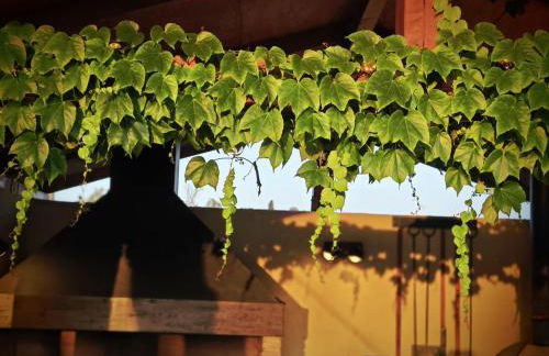 Casa del Olmo - Photo 8