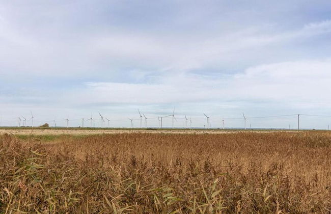 Lodge in Appledore Near Camber Sands Beach - Photo 33