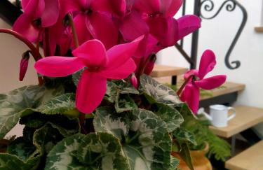 VTAR Casa del AOVE - Foto 46