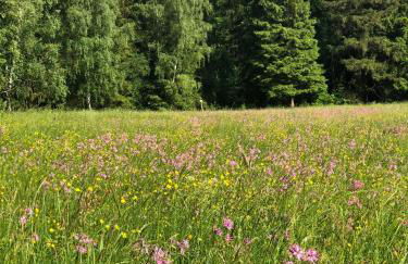 Casa „Ella“ - Photo 31