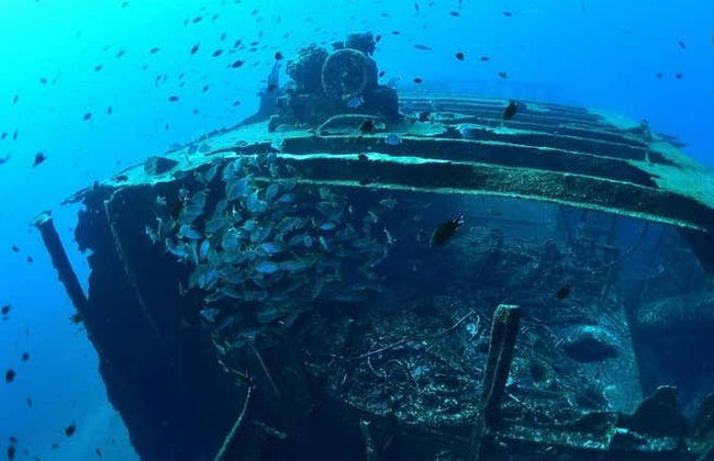 Scuba Diving in São Miguel - Photo 1