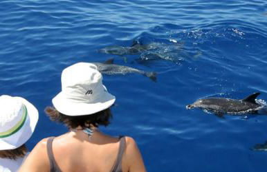 Apartamento La Playa - Foto 39