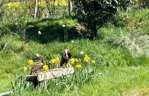 Peacock Barn - Photo 8