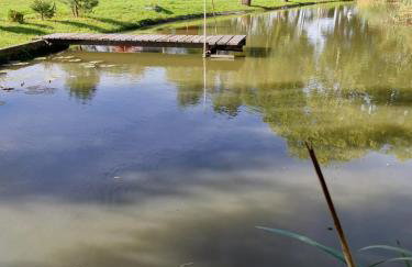 Pond Cabin - Foto 28