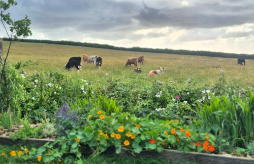 Little Swelle Cabin with awesome Sea views - Foto 4