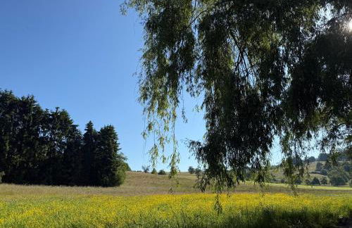 Ferienwohnung am Wald - Photo 44