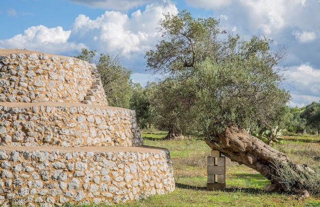 Azienda Agricola Spirdo - Foto 54