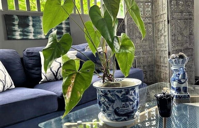 Casa Sophia - Foto 43