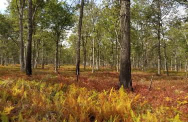 Serenity and Fun all in one in this Cozy Pocono Cabin - Foto 70