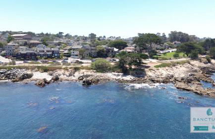 3946 Listen to the Waves townhouse - Foto 40