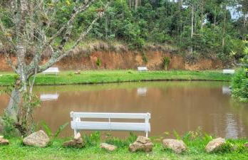 Sítio com Casa de Madeira com 2 quartos 100m2 px Centro de Salesópolis - Foto 49