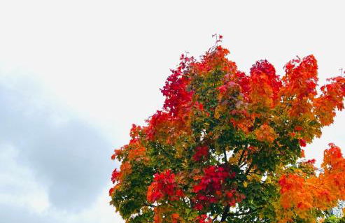 53qm 2Zimmer helle Familiewhg mit Garten nahe Uni - Foto 23