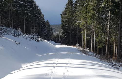 Ferienwohnung Paula - Foto 28