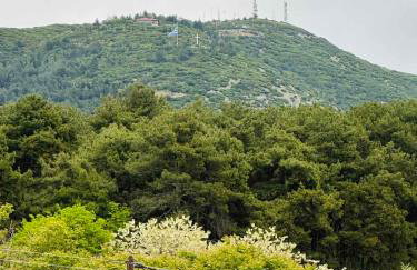 Paul’s Houses - Foto 17