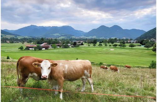 Wohnung Weitsicht Ruhpolding, 3 Schlafzimmer, Bergpanorama, Alleinlage - Foto 18