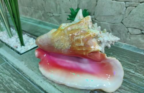 APARTAMENTO ESTRELLA SAUNA SPa JACUZZI - Photo 39