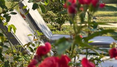 Alexandra's garden - Foto 5