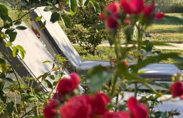 Alexandra's garden - Photo 5