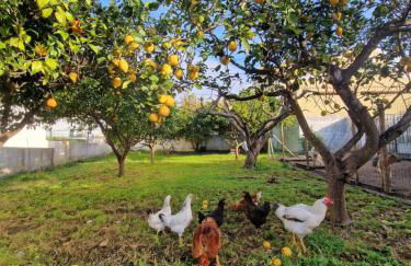 Casa Nikana - Photo 32