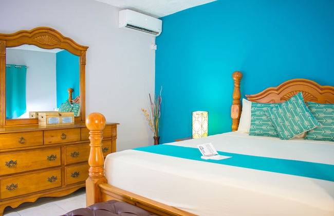 Casa Alexandria Guest Apartment - Foto 10