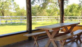 Pousada das Palmeiras - Foto 3