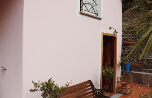 Bice di Casteruggia - Foto 26