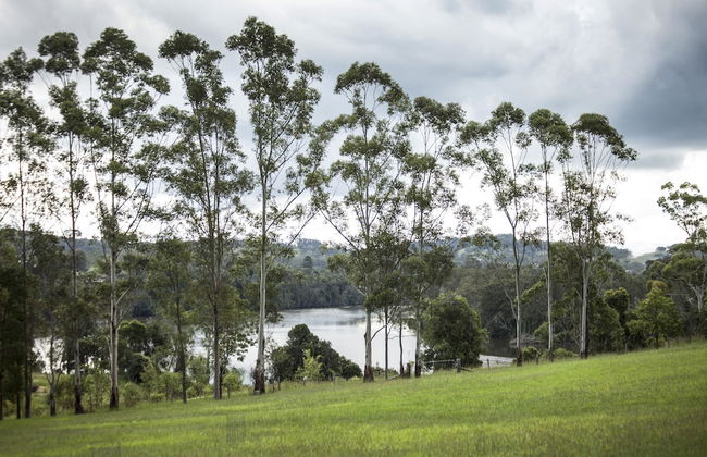 Mansfield on the Manning - Photo 37