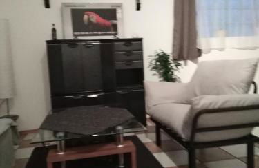 Schöne Studiowohnung, renoviert, zentrale Lage - Foto 4