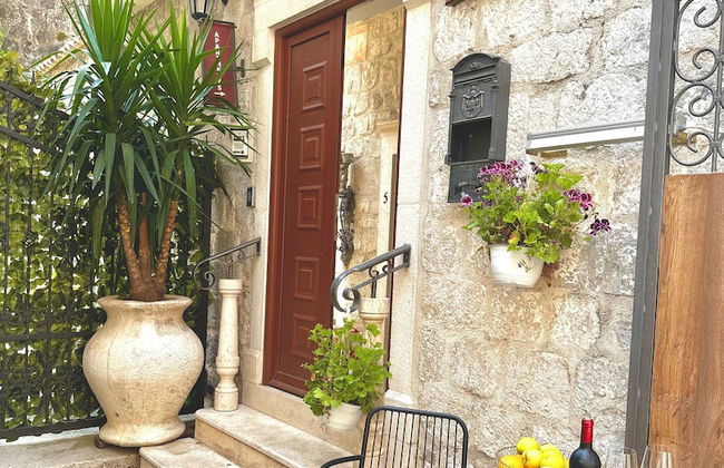 Vita Mundo - Foto 53