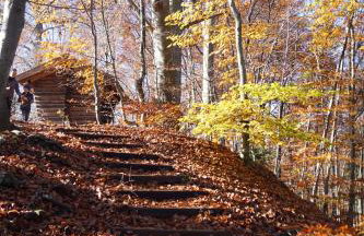 Gemütliches Haus mit Sauna im Voralpenland - Foto 27
