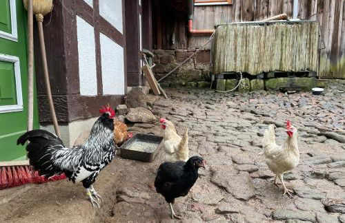 Ferienwohnung Bärbel - Foto 12