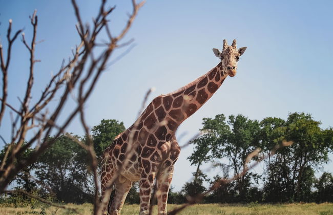 Blue Hills Ranch - Foto 66