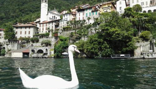 Lake's Sound - Foto 1