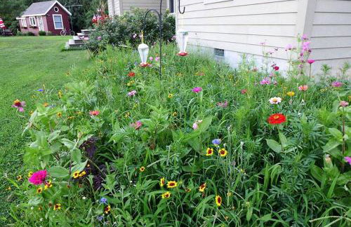 Serene Tiny House with a Big Charm for Glamping in Virginia - Photo 27