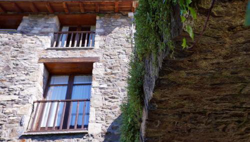 Gra de fajol - Foto 5