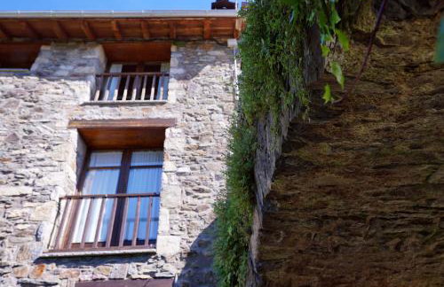 Gra de fajol - Foto 5