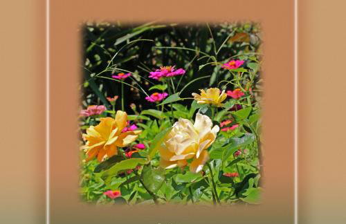 Ikaria Utopia - Cusco Studios - Photo 56