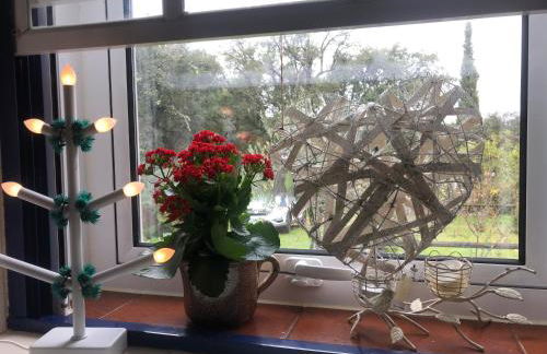 Monte do Rei Santo - Foto 26