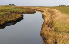 HaRe Ferienwohnungen - Foto 62