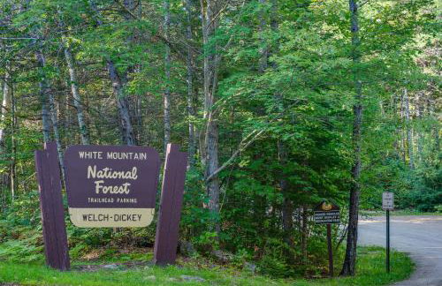 Charming Thornton Escape with Sauna and Gazebo! - Foto 42