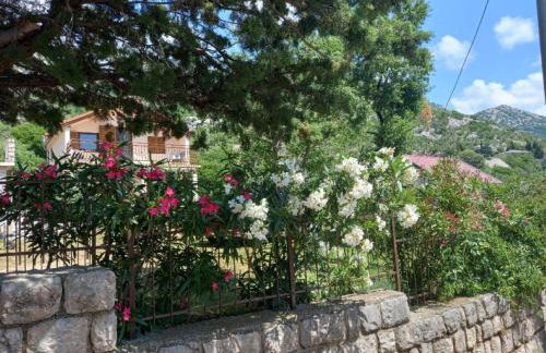 Apartmani Gracijela - Foto 51