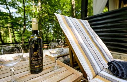 Forest Escape with Jacuzzi & Pool Among the Trees by Destination GREEN Croatia - Foto 14