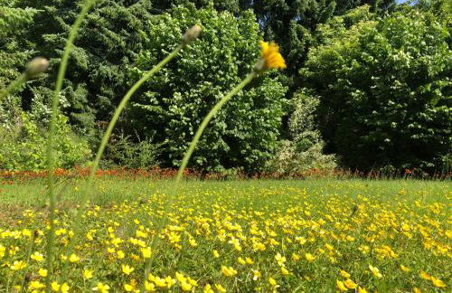 Idas Garten - Foto 41