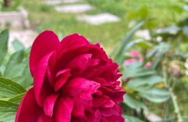 L'Atelier d'Olga - Homillesime - Foto 58