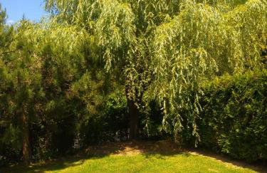 Dom Aga Bieszczady 10 osobowy - Foto 29